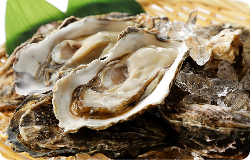 新鮮な牡蠣とお酒